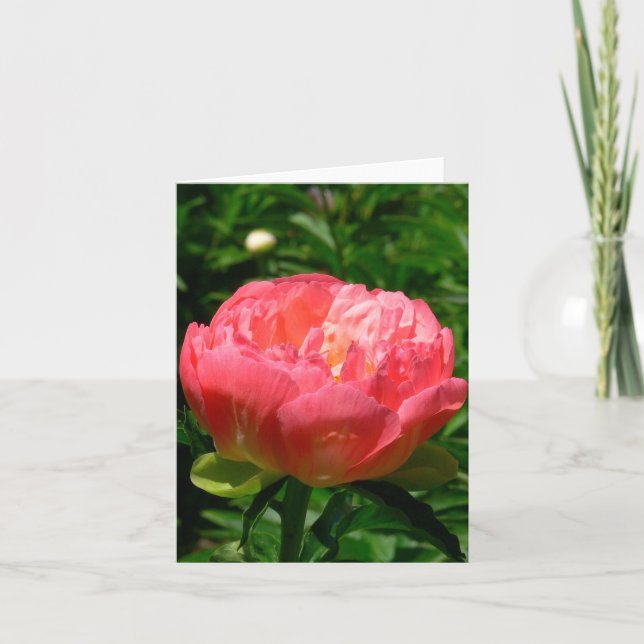 CARTÃO "BLUSHING PINK PEONY" NOTECARD (PHOTOG) (Frente)