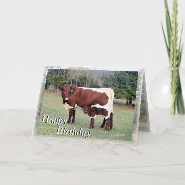 Cartão Bnelane-Z61, Bon&Bel7896-Z, Happy, Aniversário, H. (Frente)