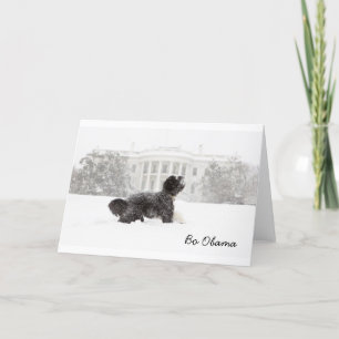 Cartão Bo Obama na neve