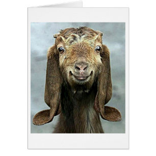 CARTÃO BOA BOCA DIZ QUE VOCÊ "50" PARECE "BOM PARA VOCÊ!"