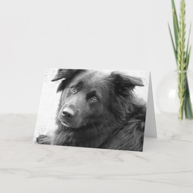 Cartão Boa cura (Frente)