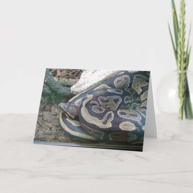 Cartão Boa Snake (Frente)