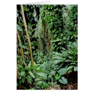 Cartão Boa vinda à selva