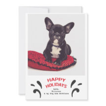 Boas Festas de Cão Feliz Saudação Fotográfica