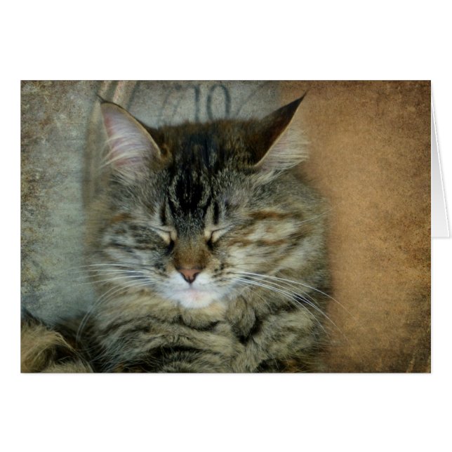 Cartão Bob (Frente Horizontal)