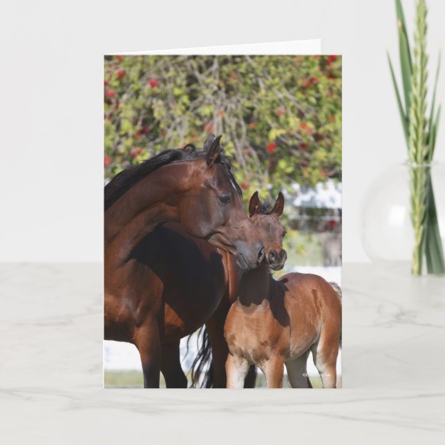 Cartão Bob Langrish | Arab Mare and Foal Standing (Frente)