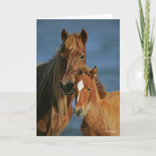 Cartão Bob Langrish   Banker Pony Mare e Foal Headshot
