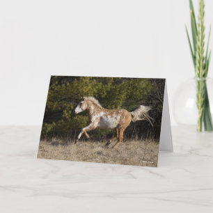 Cartão Bob Langrish   Bashkir Curly Stallion Running