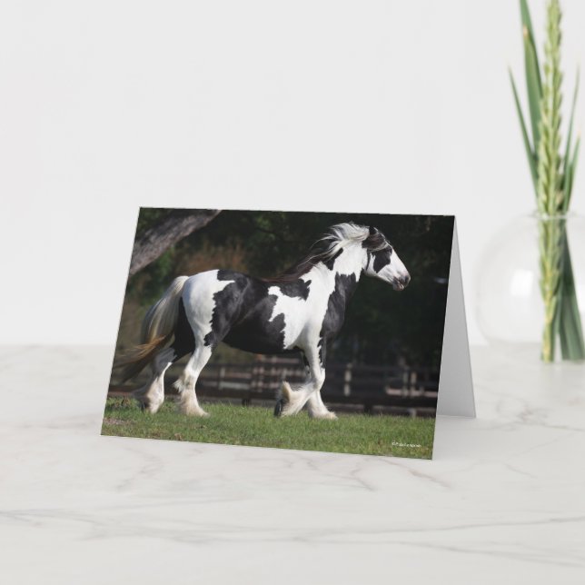 Cartão Bob Langrish Black and White Gypsy Vanner Walking (Frente)