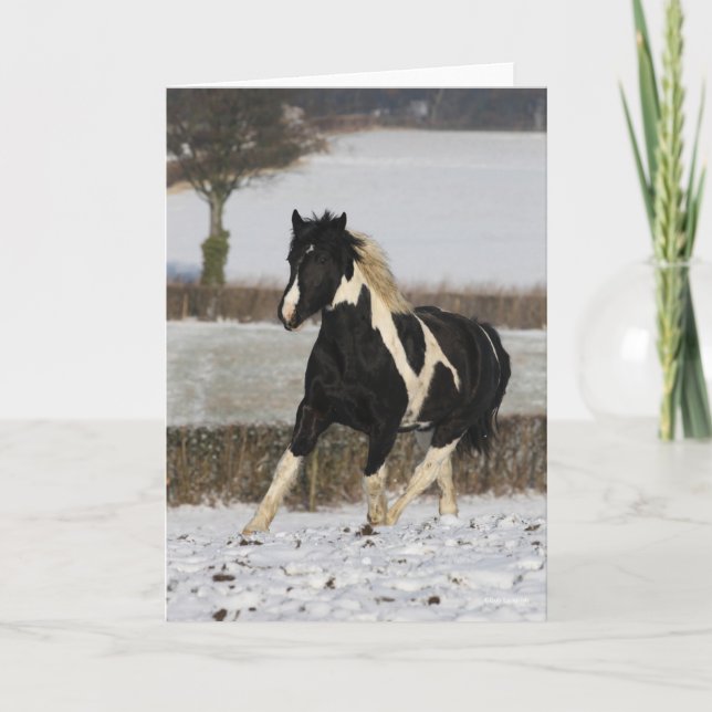Cartão Bob Langrish Black e White Welsh Cob na Neve (Frente)