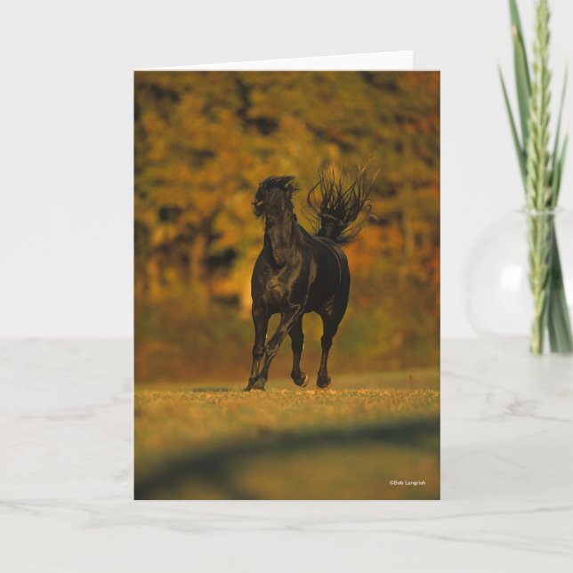 Cartão Bob Langrish | Black Friesian Running In Autumn (Frente)
