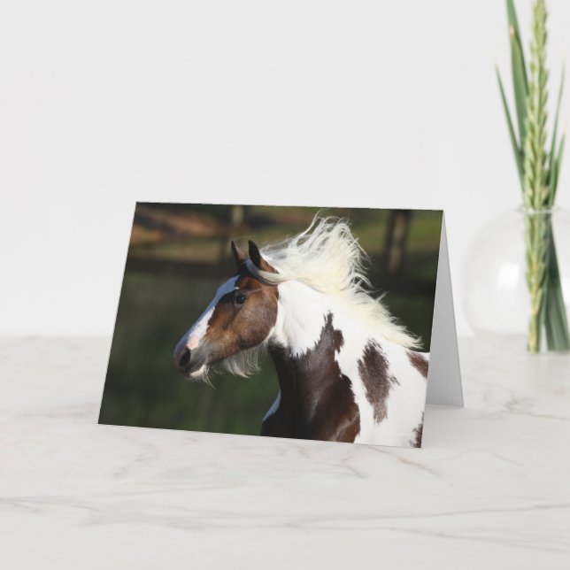 Cartão Bob Langrish | Captura de cabeça de cavalo de tamb (Frente)