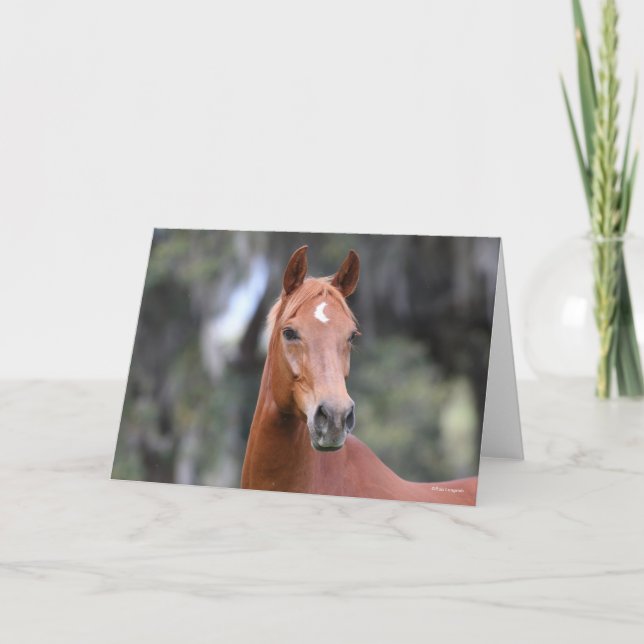 Cartão Bob Langrish | Captura de cabeça de Chestnut Olden (Frente)