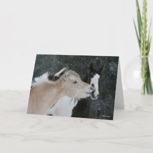 Cartão Bob Langrish   Captura De Cabeça De Dois Pontes Re