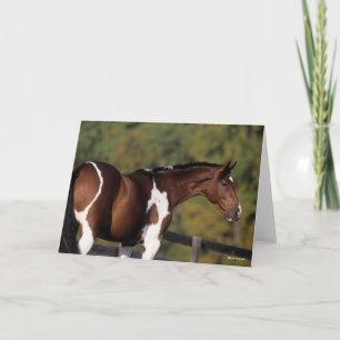 Cartão Bob Langrish   Captura de cabeça de Pinto Warmbloo