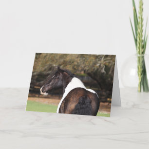 Cartão Bob Langrish   Captura de cabeça do Vanner Gypsy