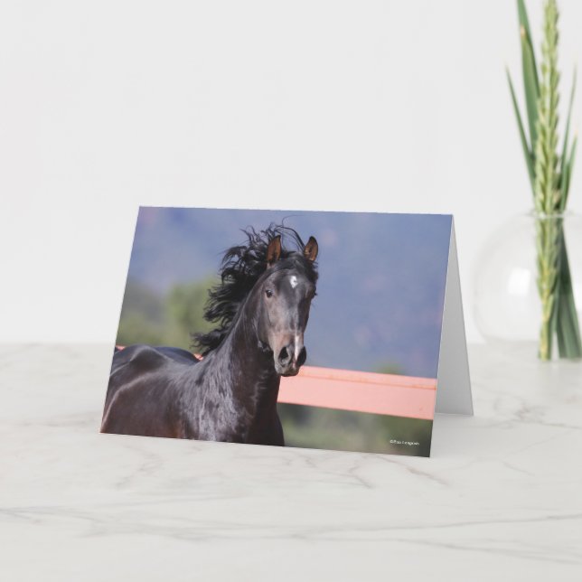 Cartão Bob Langrish | Captura de cabeça na Andaluzia (Frente)