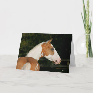 Cartão Bob Langrish   Captura de Paint Horse