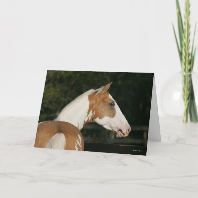 Cartão Bob Langrish | Captura de Paint Horse (Frente)