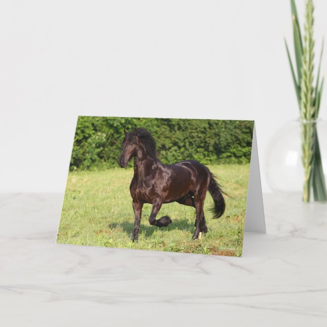 Cartão Bob Langrish | Cavalo Negro Frísia Em Corrida (Frente)