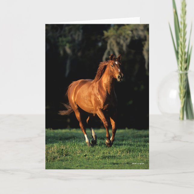 Cartão Bob Langrish | Chestnut Warmblood Mare Running (Frente)
