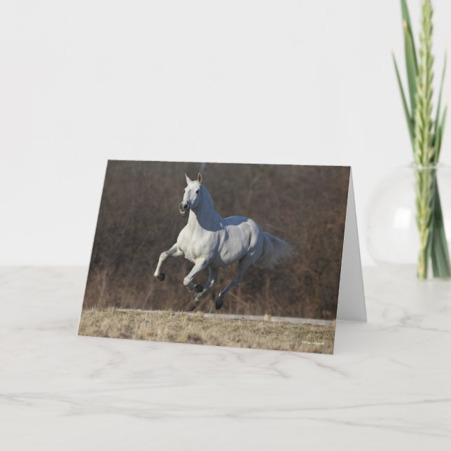 Cartão Bob Langrish | Cinza Andaluzia em Execução (Frente)