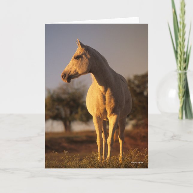 Cartão Bob Langrish | Cinza árabe (Frente)