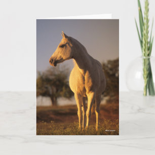 Cartão Bob Langrish Cinza árabe