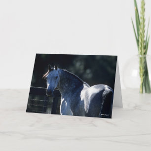 Cartão Bob Langrish   Cinza de ananás com retroiluminação