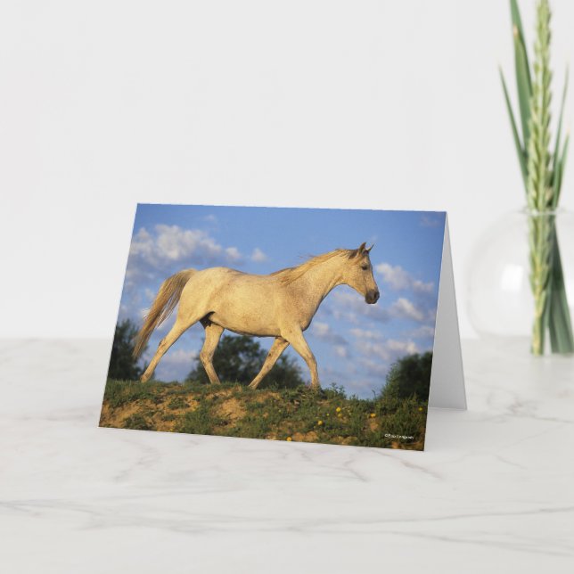 Cartão Bob Langrish | Cinzas árabes a andar (Frente)