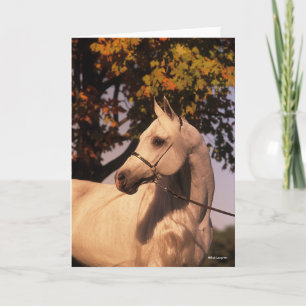 Cartão Bob Langrish   Coluna Árabe de Cinzas 4