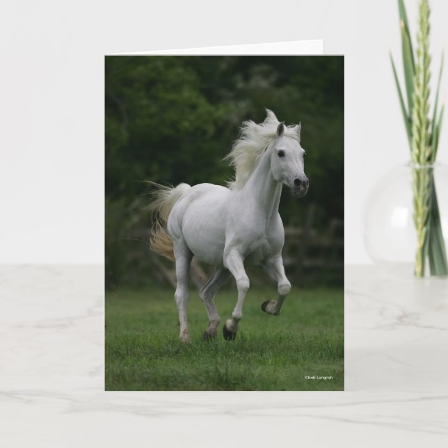 Cartão Bob Langrish | Corrente Árabe Cinza (Frente)