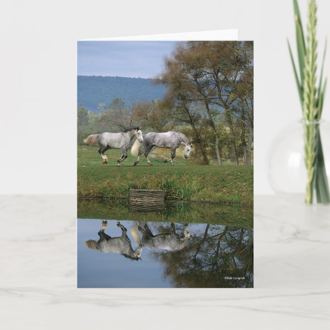 Cartão Bob Langrish | Dois Juntos De Warmbloods Por Lago (Frente)
