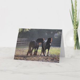 Cartão Bob Langrish Dois Vanners De Cigarro Com Ilumina