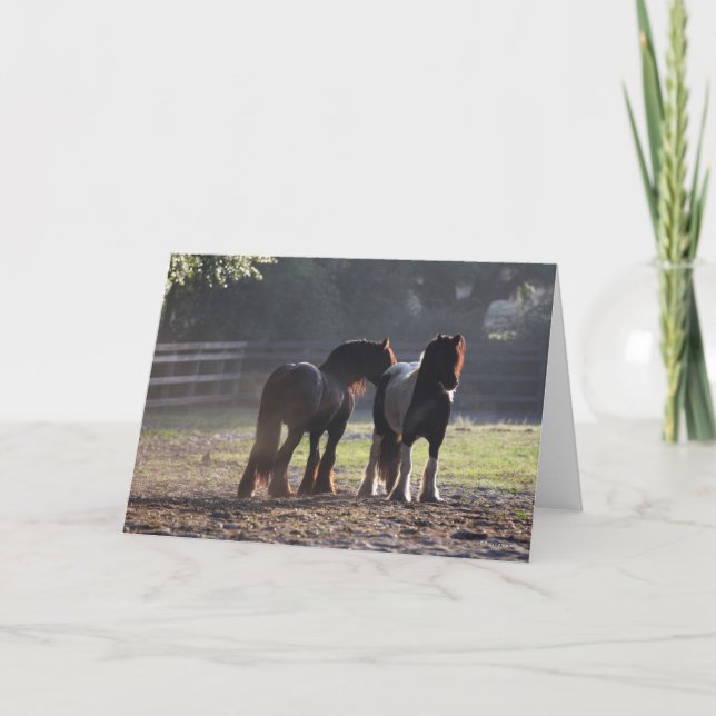 Cartão Bob Langrish | Dois Vanners De Cigarro Em retroilu (Frente)