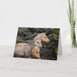 Cartão Bob Langrish   Duas Capturas de Cavalo de Bashkir 