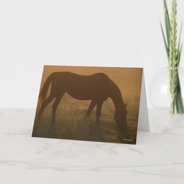 Cartão Bob Langrish | Espira Árabe Na Cintura (Frente)