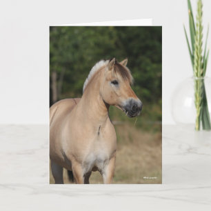 Cartão Bob Langrish Fjord Horse Standing Headshot