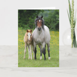 Cartão Bob Langrish Galês Pony Mare e Foal Standby
