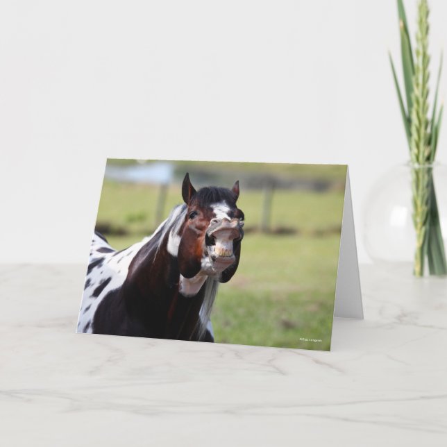 Cartão Bob Langrish | Galinhas-Estalão-de-Pintura (Frente)