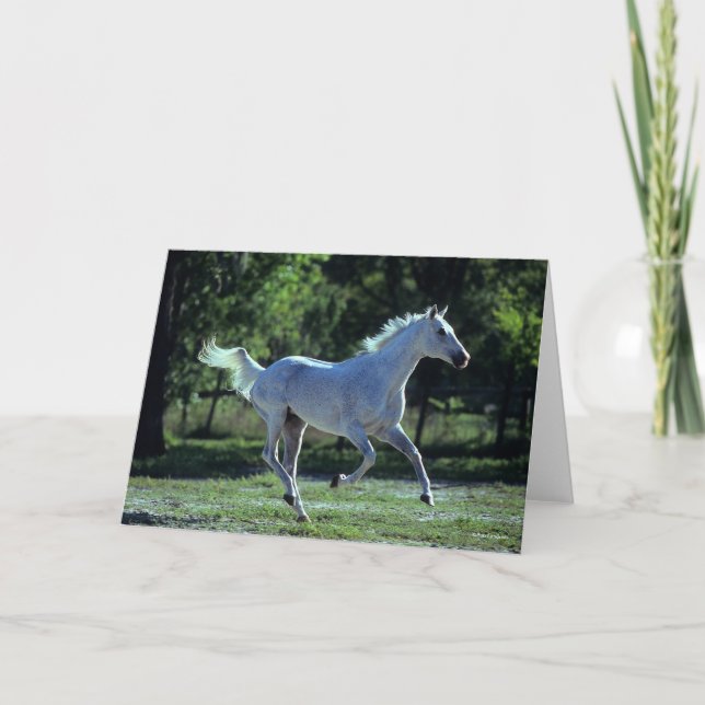 Cartão Bob Langrish | Grey Thoroughbred Stallion Running (Frente)