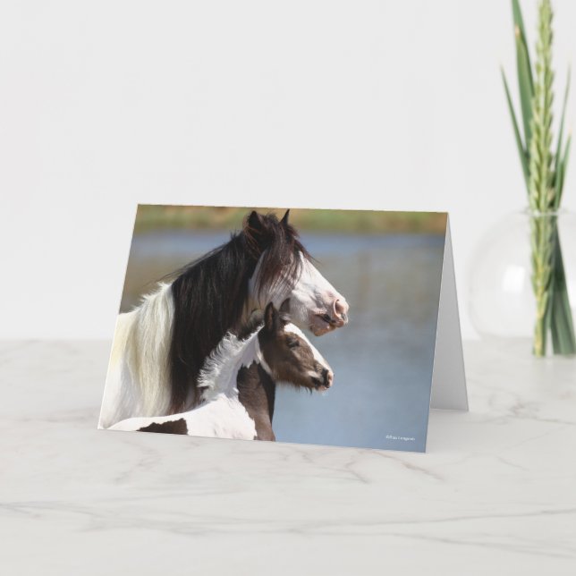 Cartão Bob Langrish | Gypsy Vanner Mare and Foal Headshot (Frente)