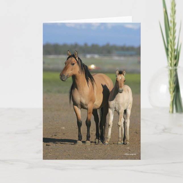 Cartão Bob Langrish Kiger Mustang Mare and Foal Standing (Frente)