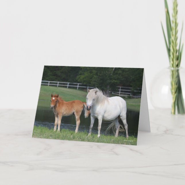 Cartão Bob Langrish Miniature Pony Mare and Foal Standing (Frente)