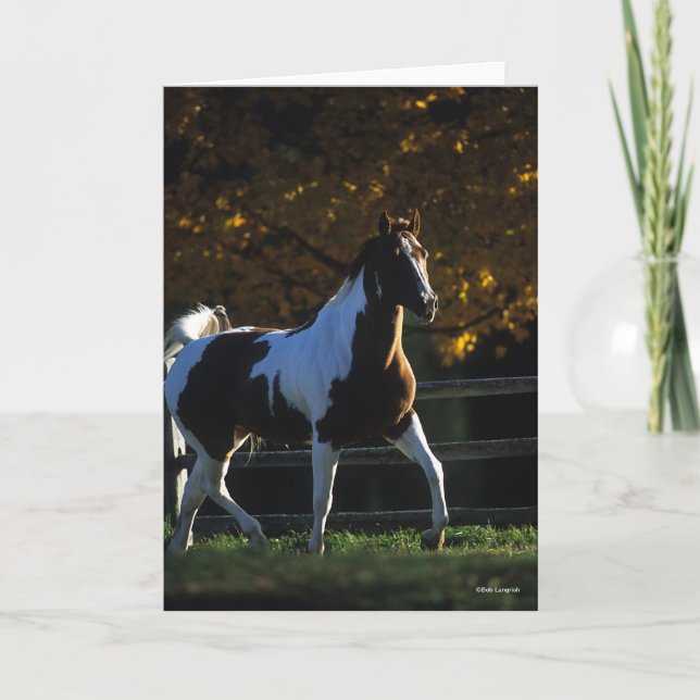 Cartão Bob Langrish | Paint Horse Walking Backlile Autumn (Frente)