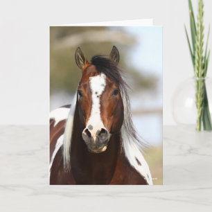 Cartão Bob Langrish   Paint Stallion Headshot