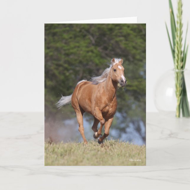 Cartão Bob Langrish | Palomino Quarter Horse Running (Frente)