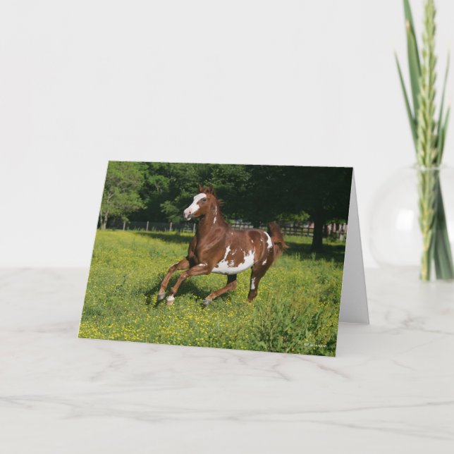 Cartão Bob Langrish | Pinto Oldenburg Correndo em flores (Frente)