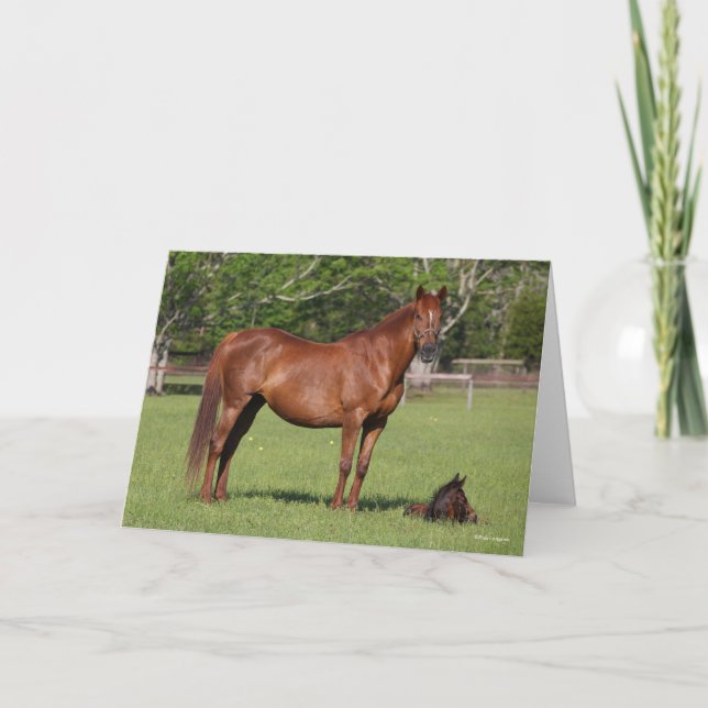 Cartão Bob Langrish Quarter Horse Mare and Foal Standing (Frente)
