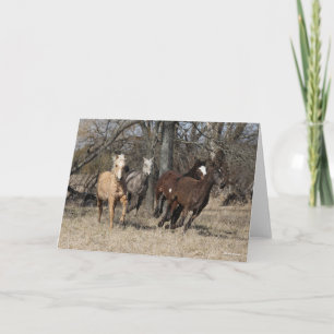 Cartão Bob Langrish   Quatro Cavalos De Basselo Em Corrid